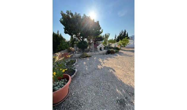 Resale - Villa -
Albatera - Partida Lomas