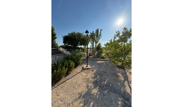 Resale - Villa -
Albatera - Partida Lomas