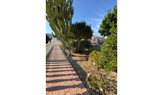 Resale - Villa -
Albatera - Partida Lomas