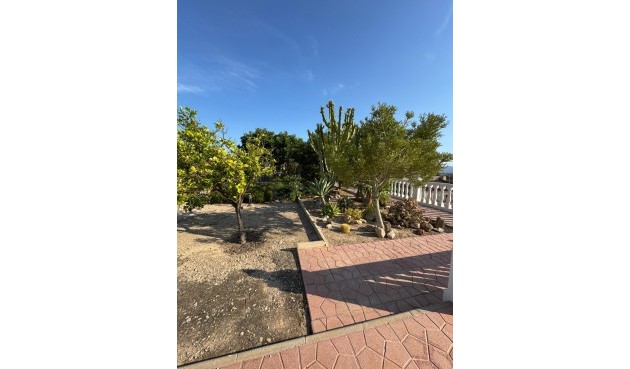 Resale - Villa -
Albatera - Partida Lomas