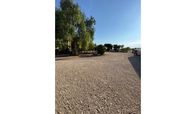 Resale - Villa -
Albatera - Partida Lomas