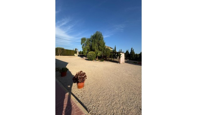 Resale - Villa -
Albatera - Partida Lomas