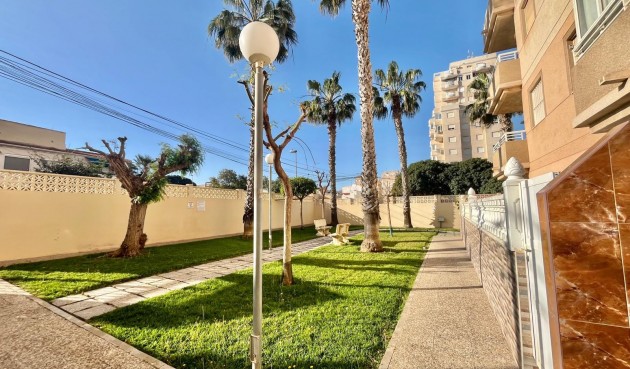 Återförsäljning - Apartment -
Torrevieja - Calas Blanca