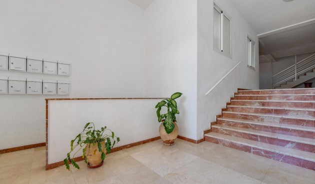 Resale - Apartment -
San Pedro del Pinatar - Av. Dr Artero Guirao