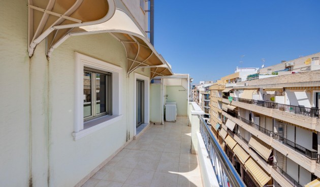 Brukt - Apartment -
Torrevieja - Paseo Maritimo