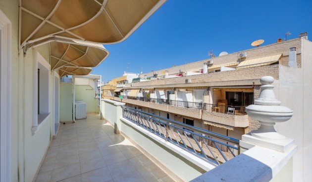 Brukt - Apartment -
Torrevieja - Paseo Maritimo