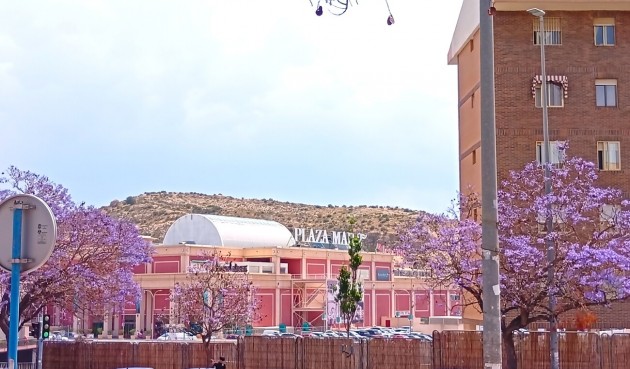 Brukt - Apartment -
Alicante - Costa Blanca