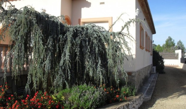 Resale - Villa -
Jalón - Inland