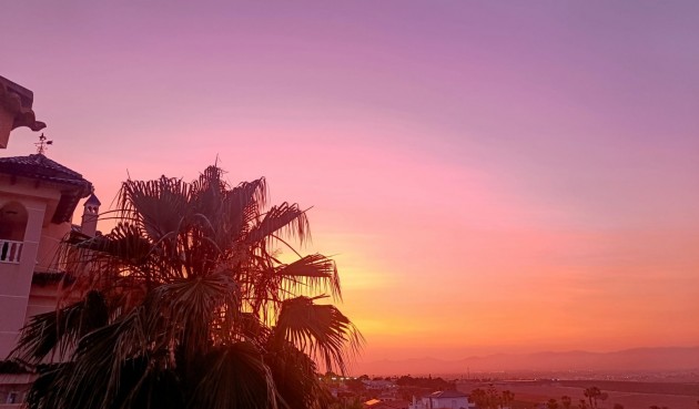 Resale - Villa -
Algorfa - Inland