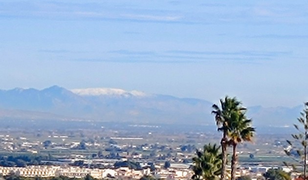 Resale - Villa -
Algorfa - Inland