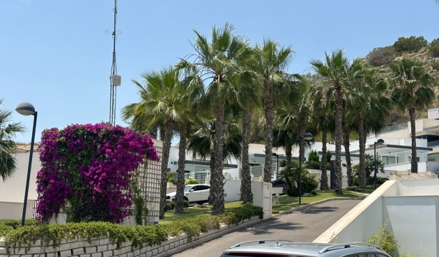 Resale - Villa -
San Miguel de Salinas - Inland