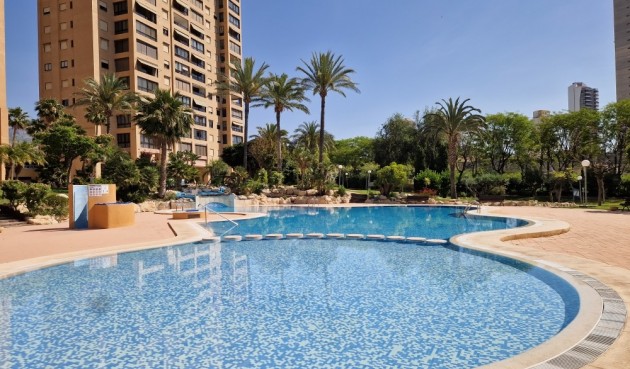 Återförsäljning - Apartment -
Benidorm - Costa Blanca