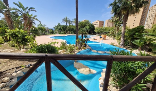 Återförsäljning - Apartment -
Benidorm - Costa Blanca