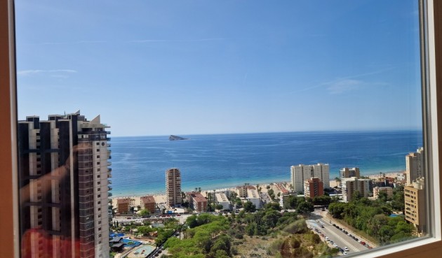 Återförsäljning - Apartment -
Benidorm - Costa Blanca