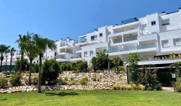 Resale - Penthouse -
Torrevieja - Punta Prima