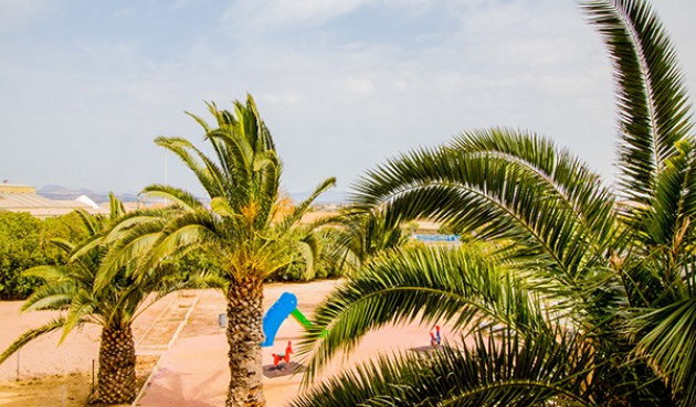 Återförsäljning - Apartment -
Torrevieja - Costa Blanca