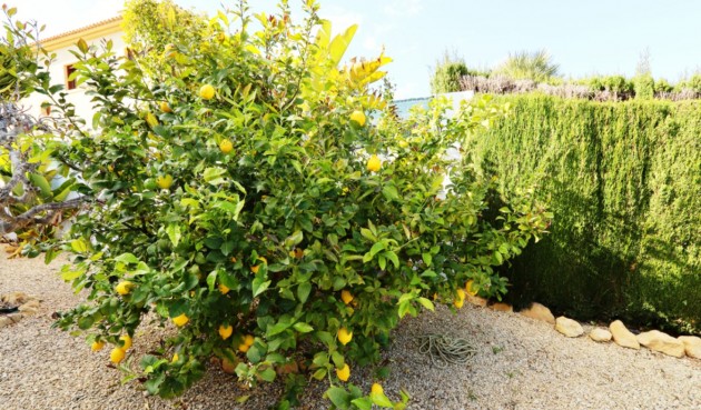 Resale - Villa -
La Nucía - Costa Blanca