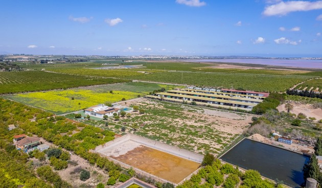 Resale - Villa -
Los Montesinos - Costa Blanca