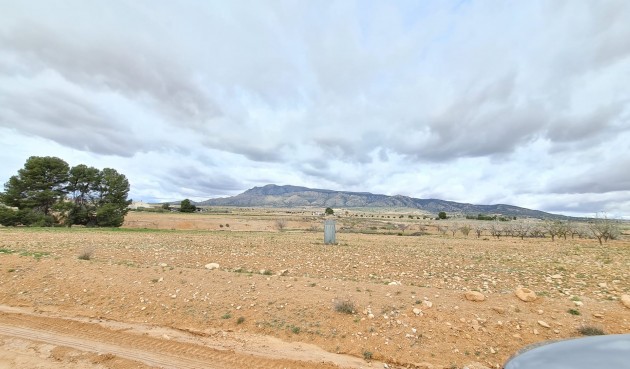 Brukt - Villa -
Torre Del Rico - Inland