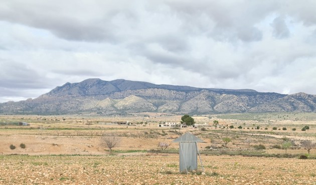 Brukt - Villa -
Torre Del Rico - Inland