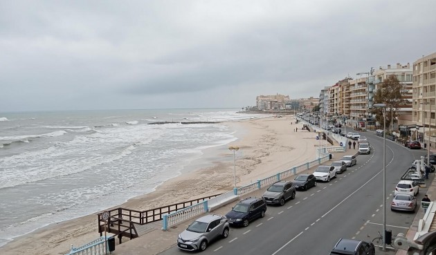 Resale - Apartment -
Torrevieja - PLAYA LOS LOCOS