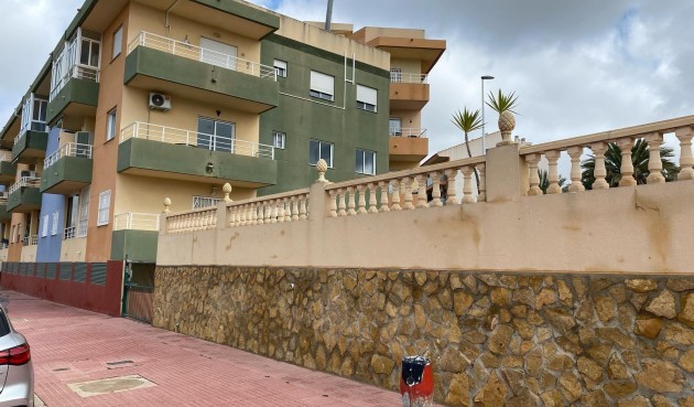 Resale - Apartment -
San Miguel de Salinas - Pueblo 9