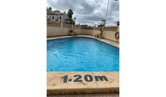 Resale - Apartment -
San Miguel de Salinas - Pueblo 9