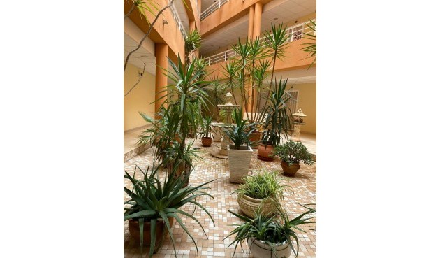 Resale - Apartment -
San Miguel de Salinas - Pueblo 9