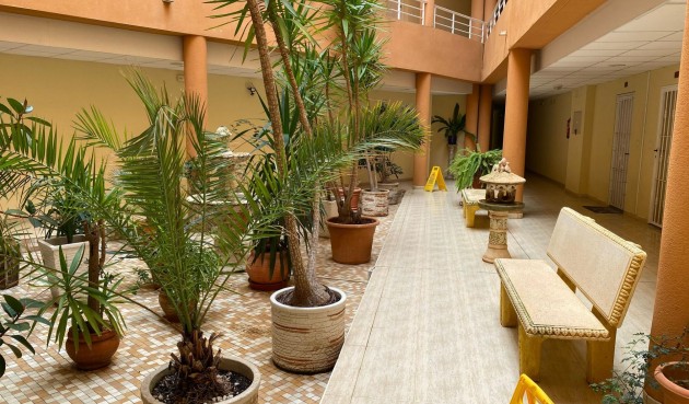 Resale - Apartment -
San Miguel de Salinas - Pueblo 9