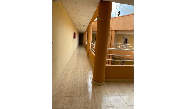 Resale - Apartment -
San Miguel de Salinas - Pueblo 9