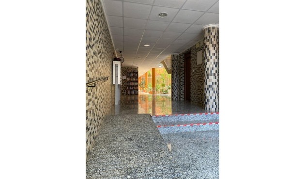 Resale - Apartment -
San Miguel de Salinas - Pueblo 9