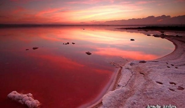 Reventa - Duplex -
Torrevieja - La Siesta