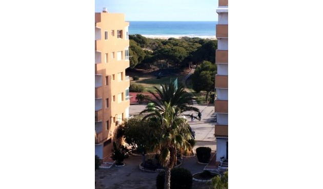 Brukt - Apartment -
Guardamar del Segura - Pinomar
