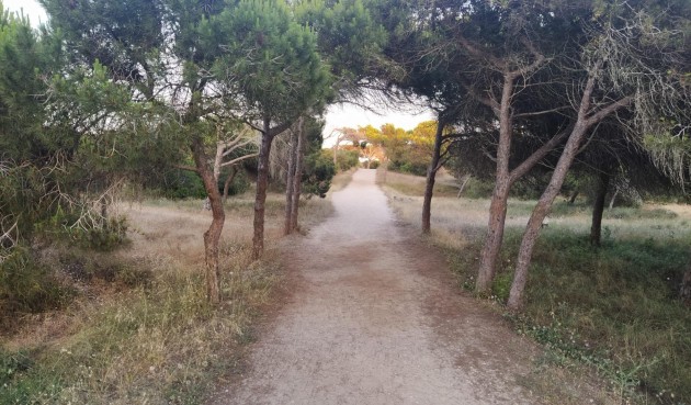 Brukt - Apartment -
Guardamar del Segura - Pinomar