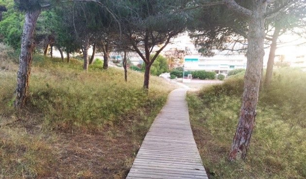 Brukt - Apartment -
Guardamar del Segura - Pinomar