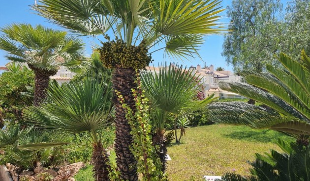 Resale - Apartment -
Torrevieja - Los Balcones - Los Altos del Edén