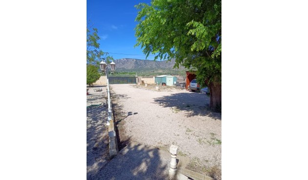 Resale - Villa -
Salinas - Inland