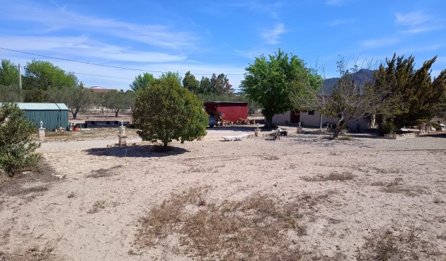 Resale - Villa -
Salinas - Inland