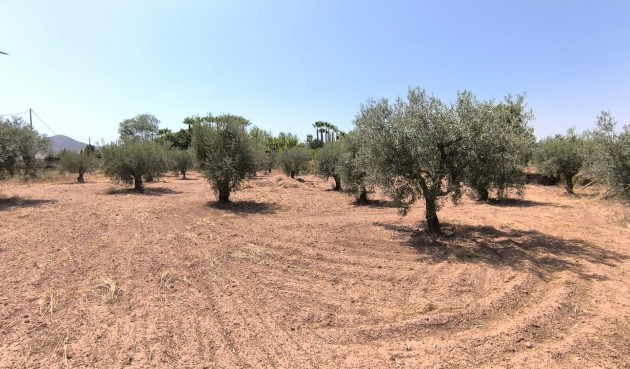 Återförsäljning - Villa -
Jumilla - Inland