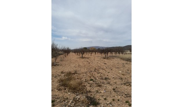 Brukt - Town House -
Casas Del Señor - Inland