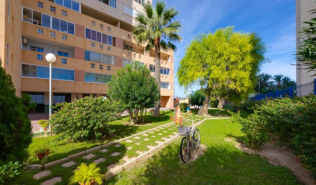 Brukt - Apartment -
Torrevieja - La Veleta