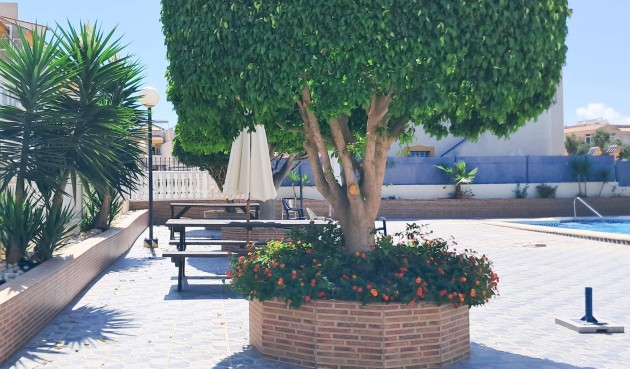Resale - Apartment -
Torrevieja - Parque Acuático - Sector 25