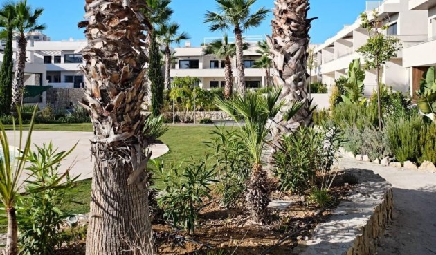 Återförsäljning - Apartment -
Torrevieja - Costa Blanca
