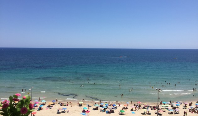 Återförsäljning - Apartment -
Mil Palmeras - Costa Blanca