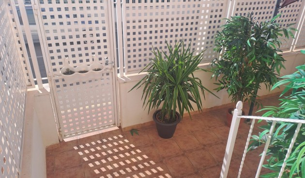 Resale - Apartment -
San Pedro del Pinatar - Costa Calida