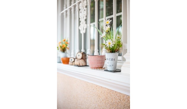 Korttidsleie - Hytte -
Orihuela Costa - La Zenia