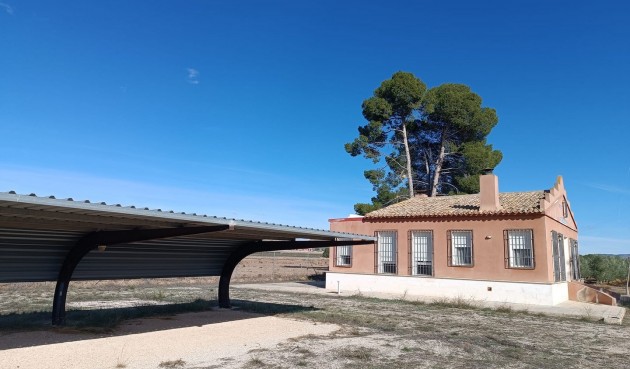Resale - Villa -
Yecla - Inland