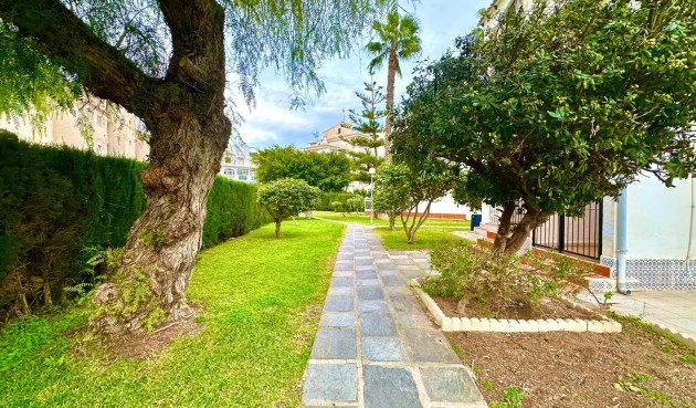 Resale - Apartment -
Torrevieja - Estacion De Autobuses