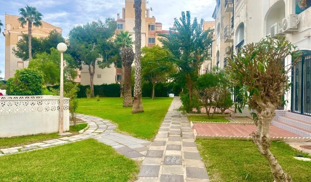 Resale - Apartment -
Torrevieja - Estacion De Autobuses