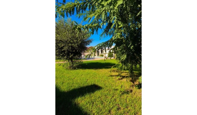 Återförsäljning - Town House -
Torrevieja